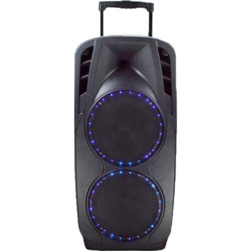 Double 10 Inch Subwoofer Speaker Powered Portable Trolley Speaker With Dj Lights Best Trolley Speaker