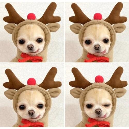 Cute Winter Dog Clothes Animal Fruit Shape Warm Dog Hoodie Coat Sweater Clothes Puppy For Small Medium Dogs Chihuahua Yorkshire