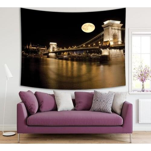 Tapestry Chain Bridge in Budapest from Pest Side horse Moonlight Historic Landmark Night View Brown Monochrome Photo