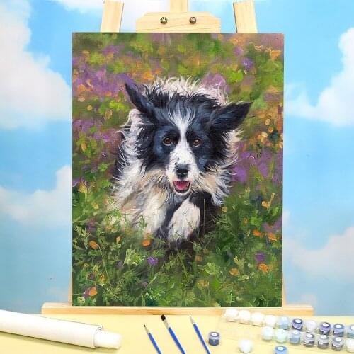 Animal Border Collie Coloring By Numbers Painting Package Oil Paints 40*50 Canvas Painting Handmade Adults Drawing