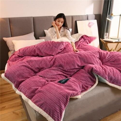 Winter Thicken And Warm Short Plush Solid Color Quilt Cover Tropical Large Double-Sided Coral Fleece Not Including Pillowcas