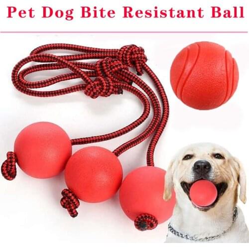 Bite Resistance Dog Toy Chew Pet Training Ball Dogs Clean Teeth Red Rubber Balls with Rope Dog Toy Interactive Pet Supplies EVA
