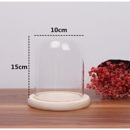 10*15cm Middle Size Glass Dome Vase Diameter=10cm Height=15cm Glass Dome Log Base Home Decoration Friend Gift Wedding Decoration