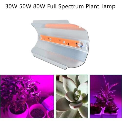 Ultra-bright LED Outdoor Grow Light COB Full Spectrum Plant Light 30W 50W 80W IP67 110V 220V For Indoor Greenhouse Plant Growing