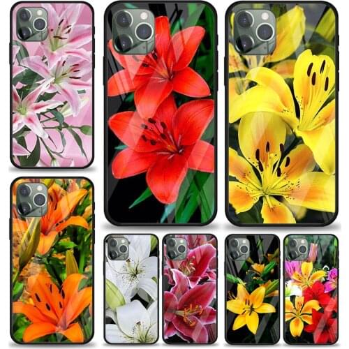 Colorful Flower Lily for Apple iPhone 12 Pro Max Mini 11 Pro XS Max X XR 6S 6 7 8 Plus Luxury Tempered Glass Phone Case