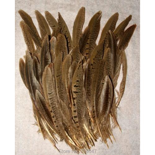 200PCS/LOT!4-6"(10-15cm)NATURAL Ringneck Pheasant Tail Feathers - Jewelry Making,Crafts, Decorating ,feather costume
