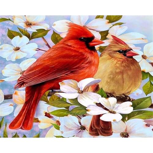 DIY Digital Painting By Numbers woodpecker oil painting mural Kits Coloring Wall Art Picture Gift frameless