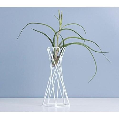 Tabletop Metal Air Plant Holders Stands Plant Containers Flower Racks