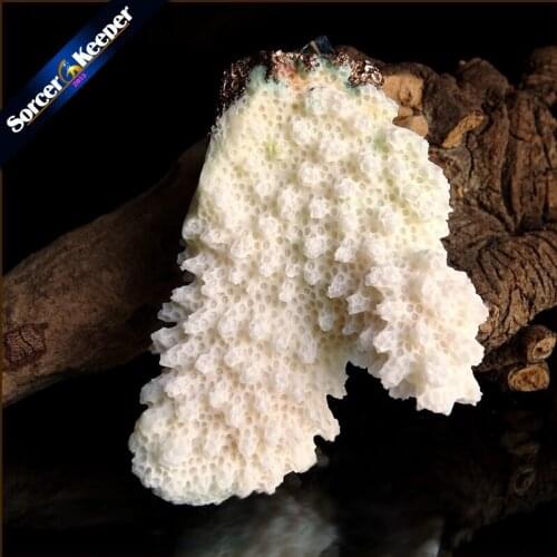 Natural Stone Raw White Coral Pendant Necklace Druzy Drusy Elestial Skeletal Cluster Specimen Fit Jewelry Making AA307