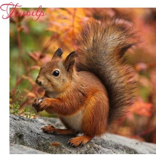 Diy Daimond Painting 3D diamond rhinestone full square drill full round diamond embroidery animal Squirrel forest animal picture