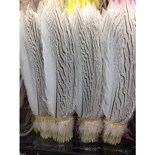 Pure Free shipping wholesale Quality 500pcs perfect nature white Silver chicken wing 10-12inch/25-30cm Variety of decorative diy