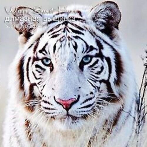 Diamond Painting Cross Stitch Pattern Needlework Diy 5D Diamond Embroidery White Tiger Kit Diamond Mosaic Animal Home Decor