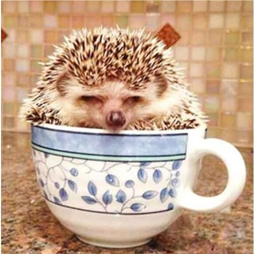 New arrive diy icon 5d diamond mosaic cross stitch kits full diamond embroidery animals square diamond painting Hedgehog 40*40cm