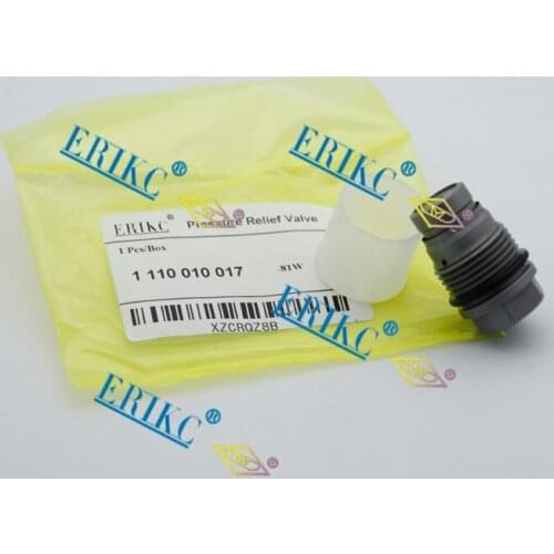 ERIKC common rail pressure control Valve 1110010017 relief valve