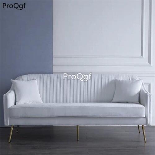 Ngryise 1 set two people seat modern classic sofa