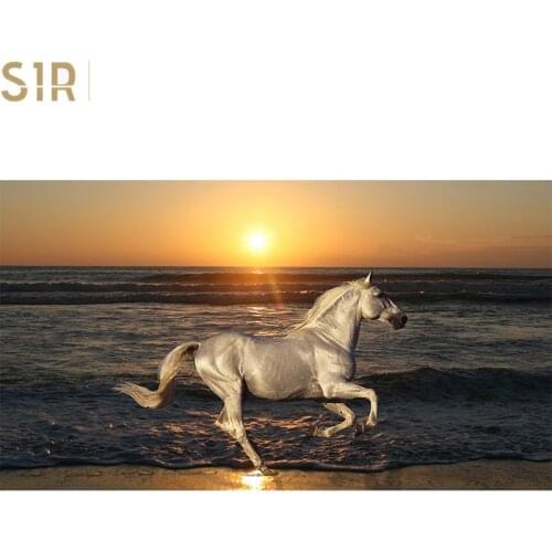 White Horse Pentium Sea Sunset Landscape Painting Architectural Decoration Room Decor Wall Art Home Decor Animal Poster