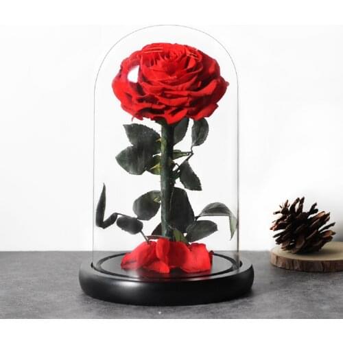 Rose eternelle Beauty and The Beast Everlasting Eternal Flowers NIght Light In Glass Dome Mothers Day Valentine Wedding Gifts