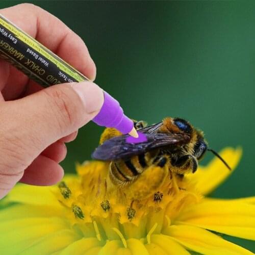 8Pcs Bee Marker Pen 8 Colors Optional Queen Plastic Beekeeping Marking Pen Bee Identification Equipment Beekeeping Tools