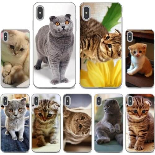 Scottish-fold-cat-Felis-catus-Scotland Soft Case For Samsung Galaxy A12 A31 A41 A51 A71 A20e A21s M30 A10 A30 A40 A50 A60 A70