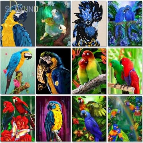 SDOYUNO Parrot DIY Oil Painting By Number Kits Drawing On Canvas HandPainted Art Gift Acrylic Paint By Numbers Animal Home Decor