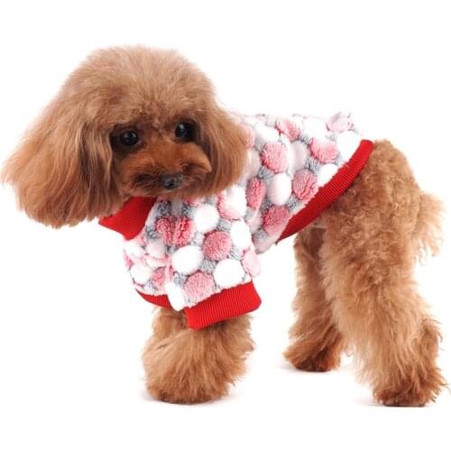 Dog Hoodies Winter Dog Clothes Cat Clothing Chihuahua Yorkie Puppy Coat Small Dog Pajamas Shirt Pomeranian Schnauzer Pet Outfit