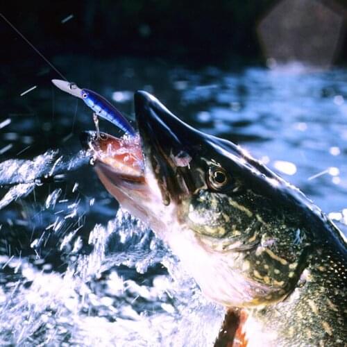 4PCS New 9cm 7.5g Fishing Lure Quality Mini Lure 3D Eyes Plastic Hard Bait Artificial Jig Wobblers Crank Bait Fishing Bait