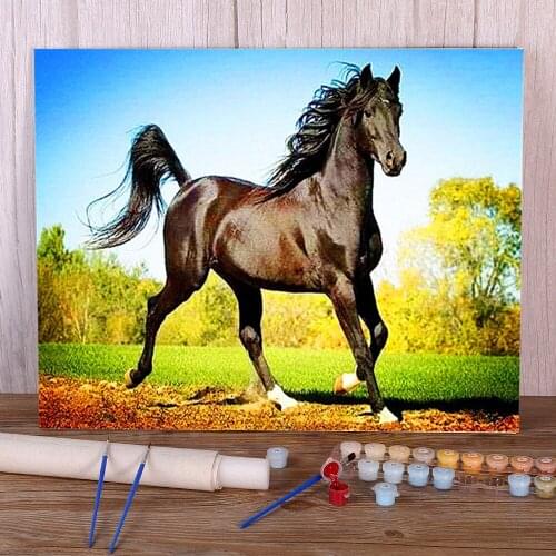 Animal Horse Flower Coloring By Numbers Painting Kit Acrylic Paints 40*50 Oil Painting Decoration For Adults For Drawing Art
