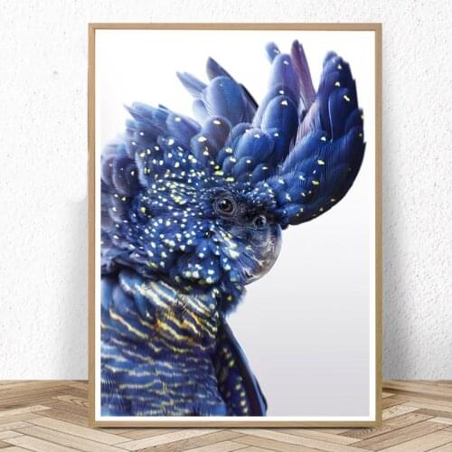 Australian Bird Black Cockatoo Canvas Painting Posters Navy Blue Parrot Bird Prints Wall Art Pictures Living Room Home Decor