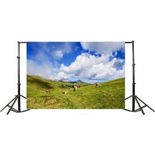 Photography Backdrop Prairie Nature Landscape Cow Grassland Blue Sky White Cloud Mountain Spring Travel