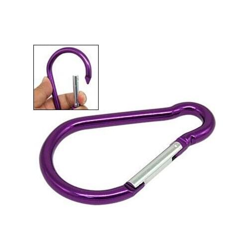 PROMOTION! Large D Shaped Aluminum Carabiner Bi-colored Clip Hook for Hiking Camping