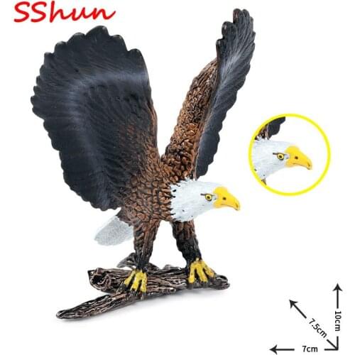 Children solid simulation bird eagle spreading wings bald sea eagle model ornaments wild solid animal world toy