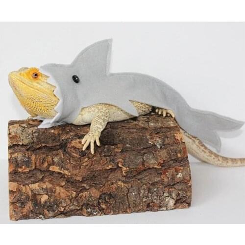 S/M/L Small Pet Costume Lizard Simulation Shark Style Suit Transfiguration Festival Dress Up Costume Props Clothing