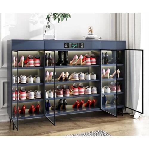 Disinfection shoe cabinet deodorization sterilization drying light luxury household large capacity door entry modern one door en