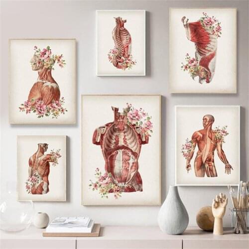 Human Body Muscle Structure Retro Wall Art Canvas Painting Nordic Posters And Prints Wall Pictures Education Study Room Decor