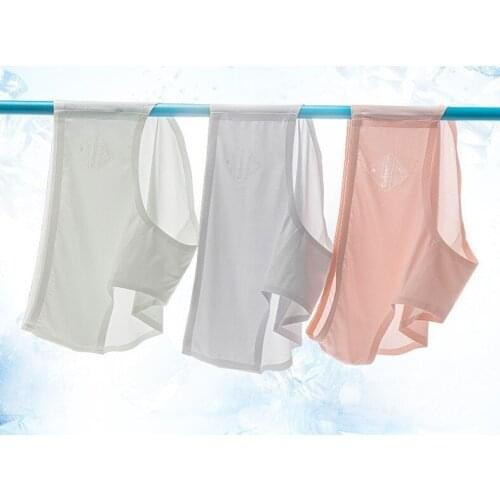 Womens Panties Ice Silk Seamless Sexy Briefs Women Underwear Transparent Mid-Rise Lingerie