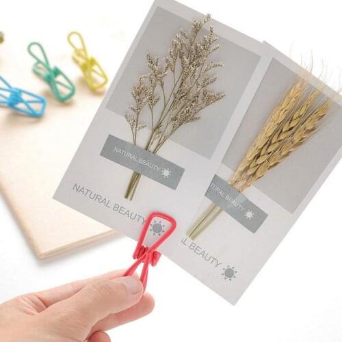 10pcs Sewing Tools Accessory Candy Color Clothes Pins Pegs Hanging Clothespin Photo Clips Colorful Stainless Steel Clips Hot