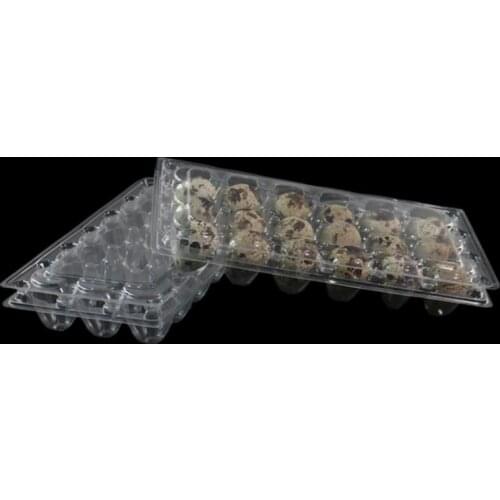 1000pcs/lot 18 Holes 198*41*133cm Quail Eggs Container Plastic Clear Egg Packing Storage Boxes Wholesale Free Shipping SN2923