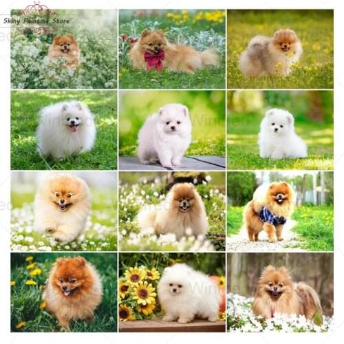 5D DIY Diamond Painting Cute Dog Pomeranian Full Square Round Diamond Mosaic Cross Stitch Diamond Embroidery Animal Gift Decor