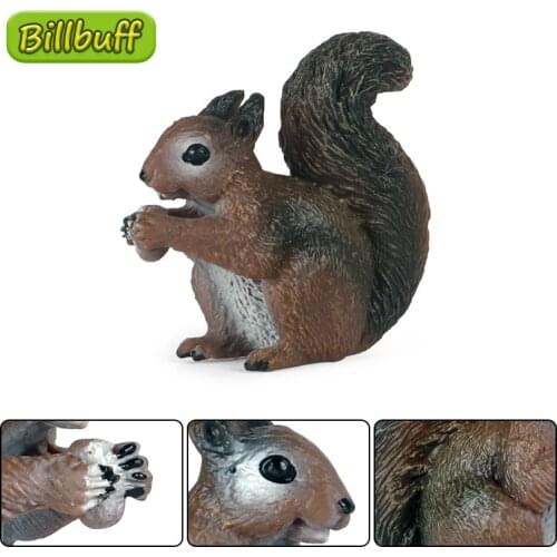 New Simulation Solid Wild Animals Figures Lifelike PVC Squirrel Action Static Model Collection Educational toy for children Gift