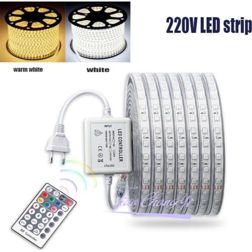 220V RGB Led Strip Light with 28Key RF Controller Waterproof Flexible Ledstrip 220 v 5050 SMD Diode Tape Lamp Ribbon Strips