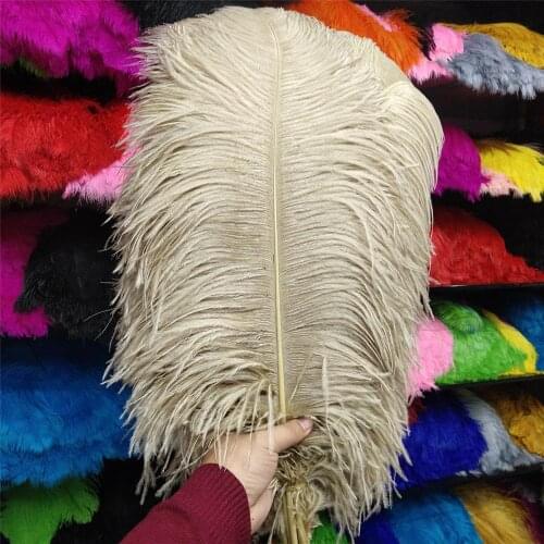 Hot Sales 100pcs Gorgeous Brown 22-24inches/55-60cm DIY jewelry Christmas Halloween Decoration Natural ostrich feathers