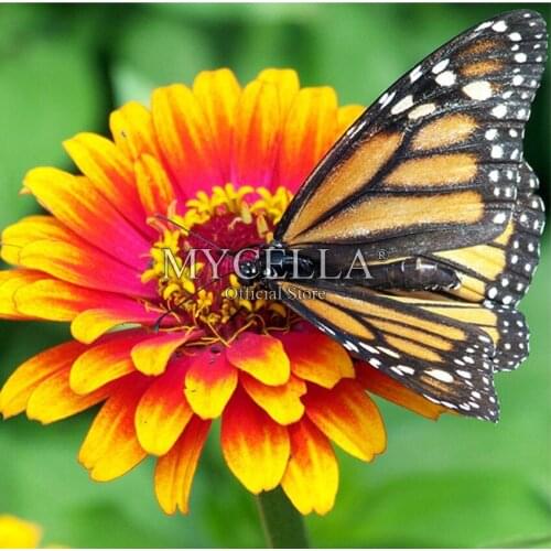 Needlework 5D DIY Diamond Painting kit Mosaic Full Round Rhinestone flowers butterfly Home Decor paintings Diamond Embroidery