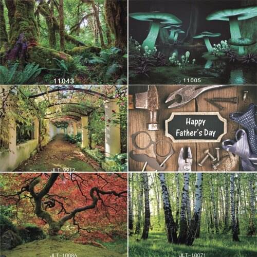 Vinyl Custom Photography Backdrops Prop scenery Theme Photography Background JL-06