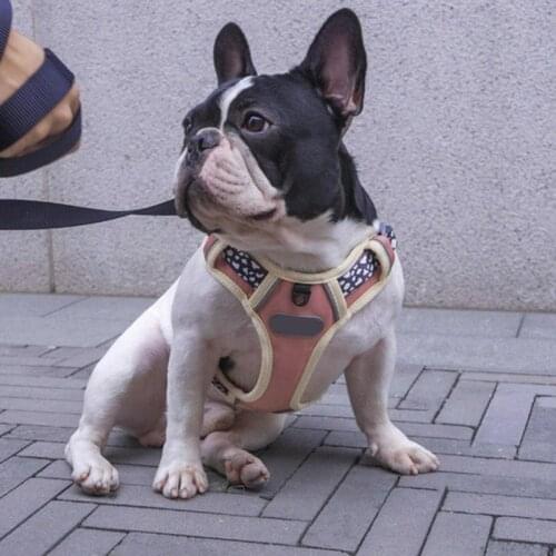 Reflective Safety Pet Dog Harness and Leash Set for Small Medium Dogs Cat Harnesses Vest Puppy Chest Strap Pug Chihuahua