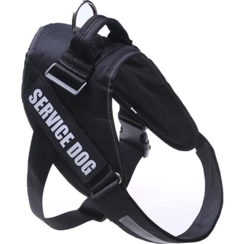 Personalized Cat Dog Leash Harness Reflective Breathable Adjustable Pet Harness for Small Large Dog Harness Vest Custom Stickers