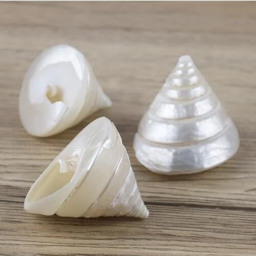 2pcs small size natural Conch sea shell noctilucence tower conch shell&pearl tower conch shell for home decoration or gift