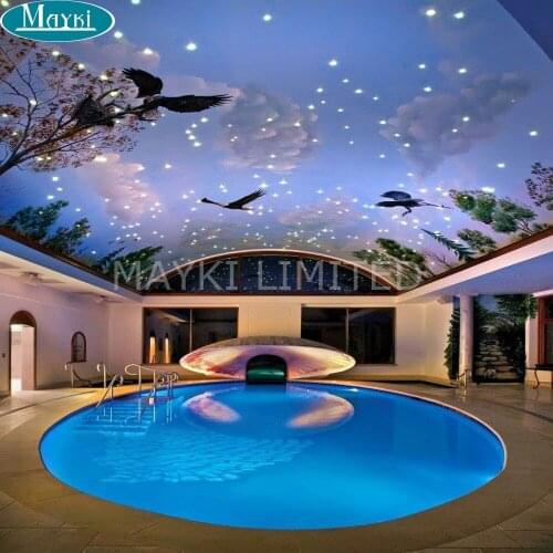 Maykit Fiber Optic Light Generator 6w RGB Color Changing Led Illminator 2m 100pcs 0.75mm Fiber Optic Tails For Car Star Ceiling
