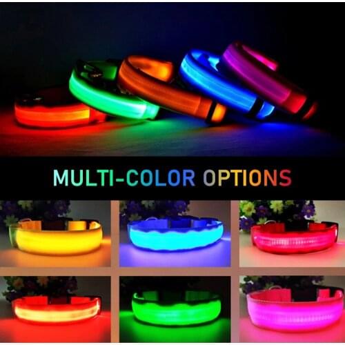 USB Charging Led Dog Collar Anti-Lost/Avoid Car Accident Collar For Dogs Puppies Dog Collars Leads LED Supplies Pet Products