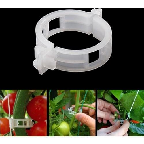 50pcs Plastic Plant Support Clips For Tomato Hanging Trellis Vine Connects Plants Greenhouse Vegetables Garden Planting Supplies