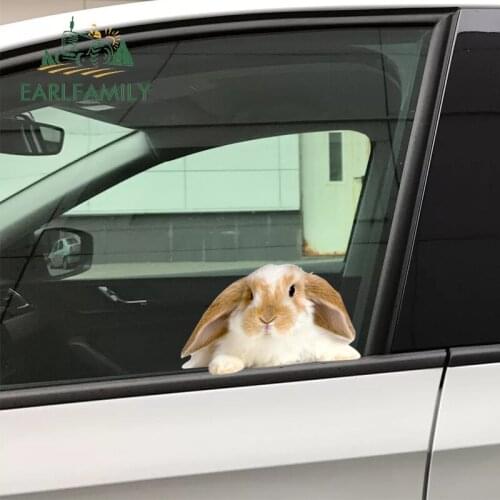 EARLFAMILY 13cm x 7.6cm for Rabbit Peek Car Stickers Campervan Decal RV JDM Car Refrigerators Windshield Surfboard Decals